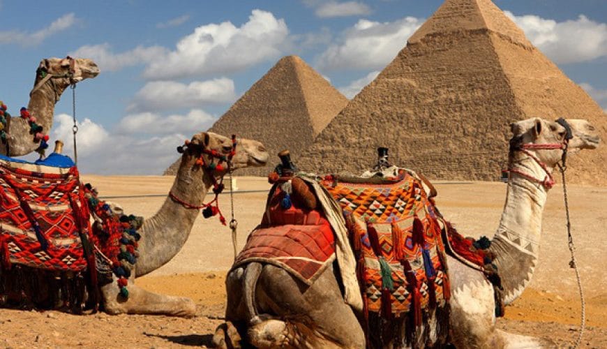 5 Reasons to Need a Professional Tour Operator for a Egypt Tour<span class="rmp-archive-results-widget rmp-archive-results-widget--not-rated"><i class=" rmp-icon rmp-icon--ratings rmp-icon--star "></i><i class=" rmp-icon rmp-icon--ratings rmp-icon--star "></i><i class=" rmp-icon rmp-icon--ratings rmp-icon--star "></i><i class=" rmp-icon rmp-icon--ratings rmp-icon--star "></i><i class=" rmp-icon rmp-icon--ratings rmp-icon--star "></i> <span>0 (0)</span></span>