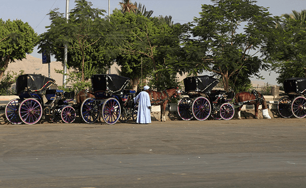 Discover the Timeless Charm of a Bedouin Village in Egypt