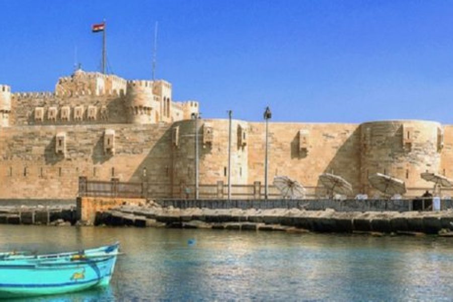 Cairo Day Trip to Alexandria: Journey by Car