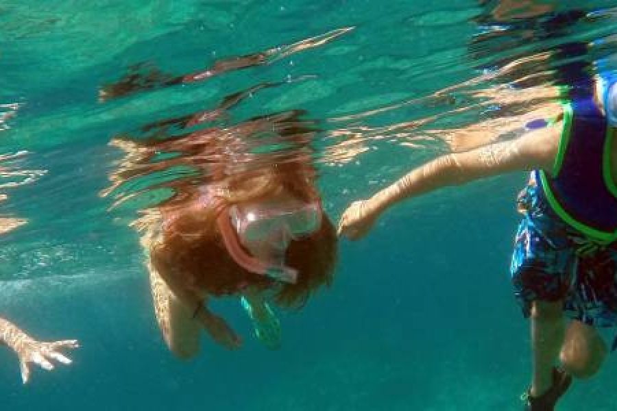 Luxor Tour & Snorkeling Excursion from Safaga Port