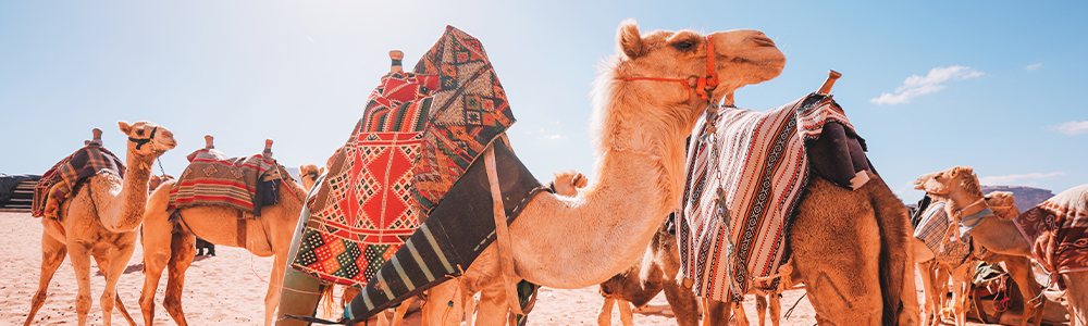 <span>Tour Itinerary</span>  Giza Pyramids Complex