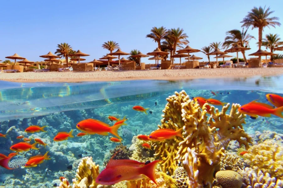 12 Days Hurghada, Cairo and Dahabiy Cruise Holiday Package