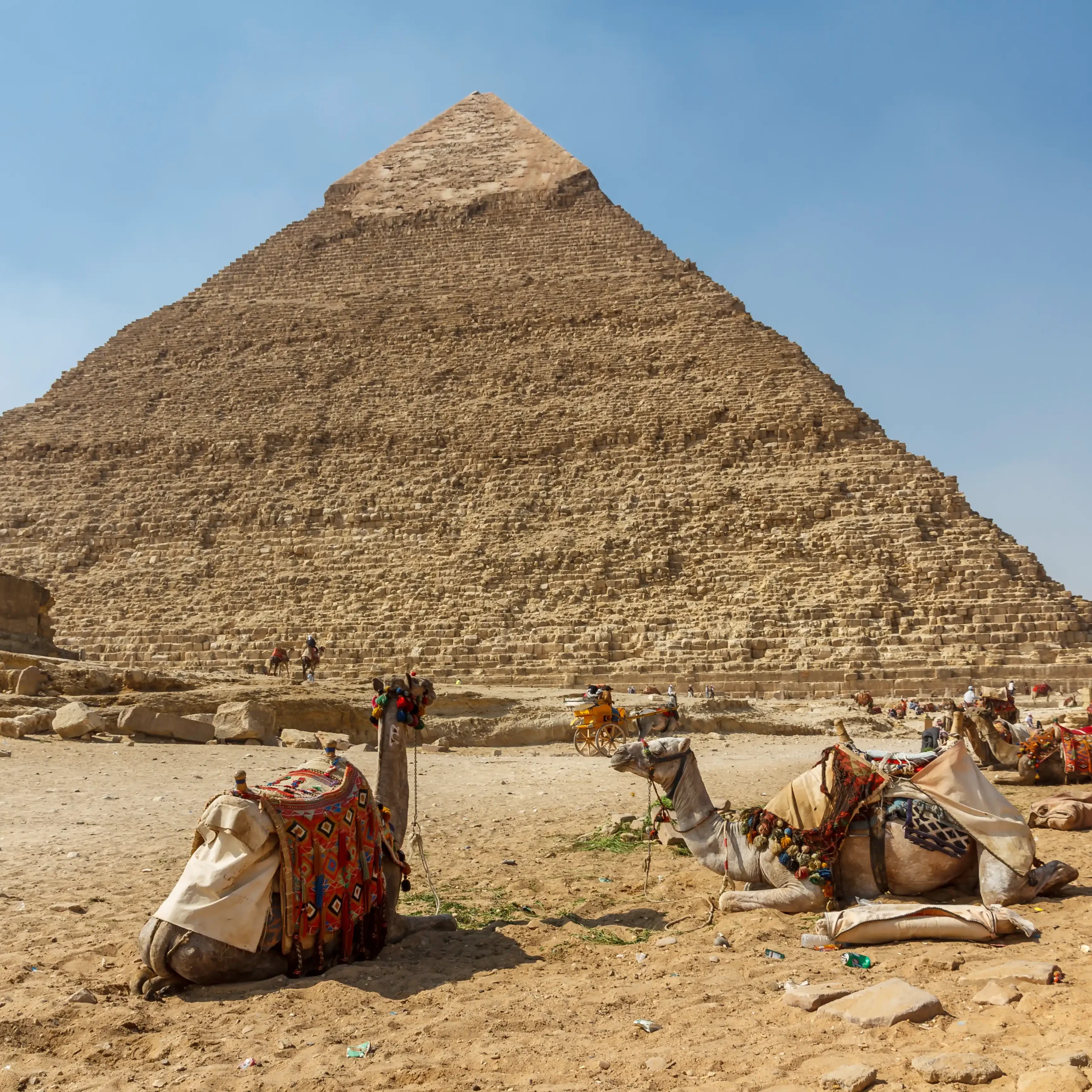 <span> Day 1 </span> 