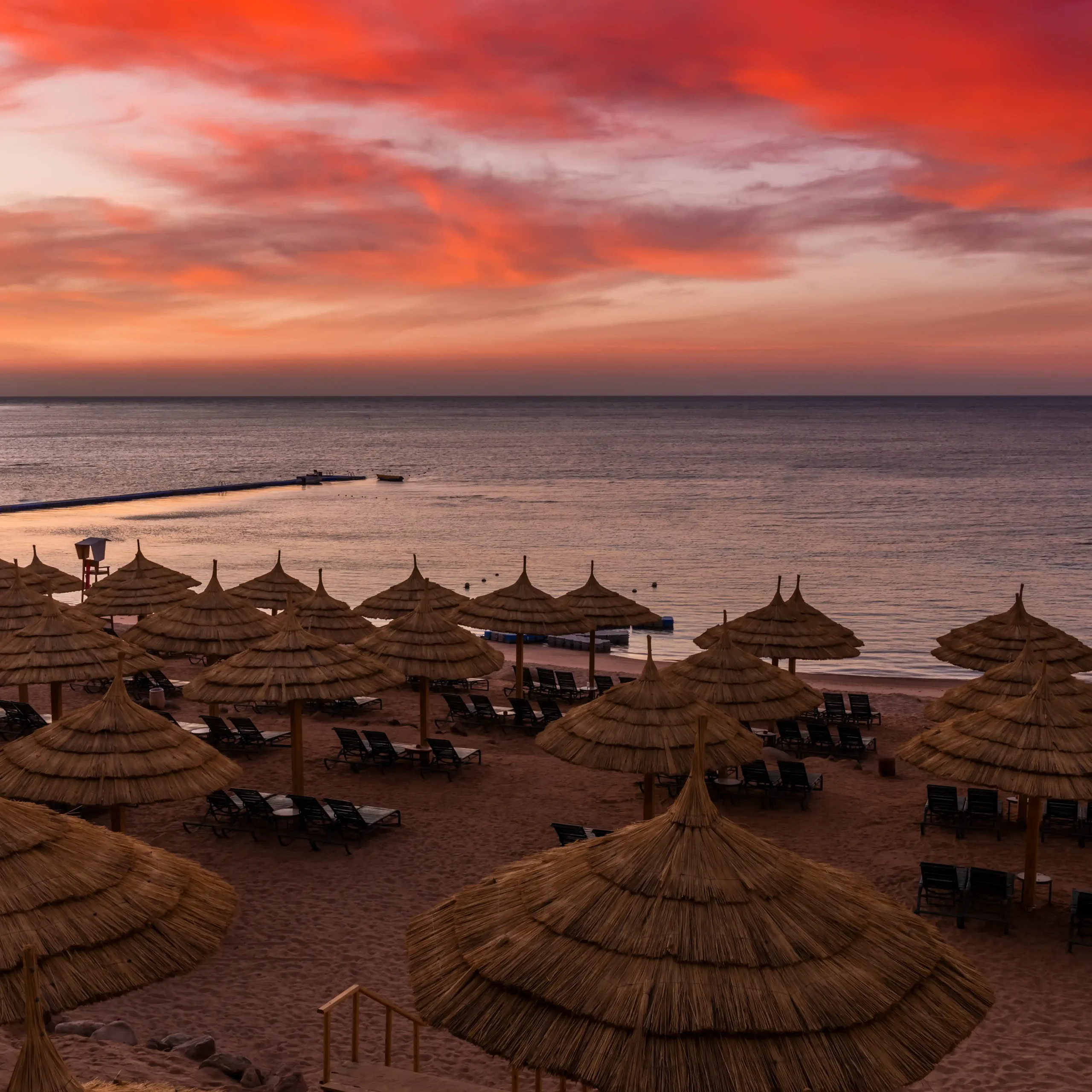 <span> Day 9 </span>