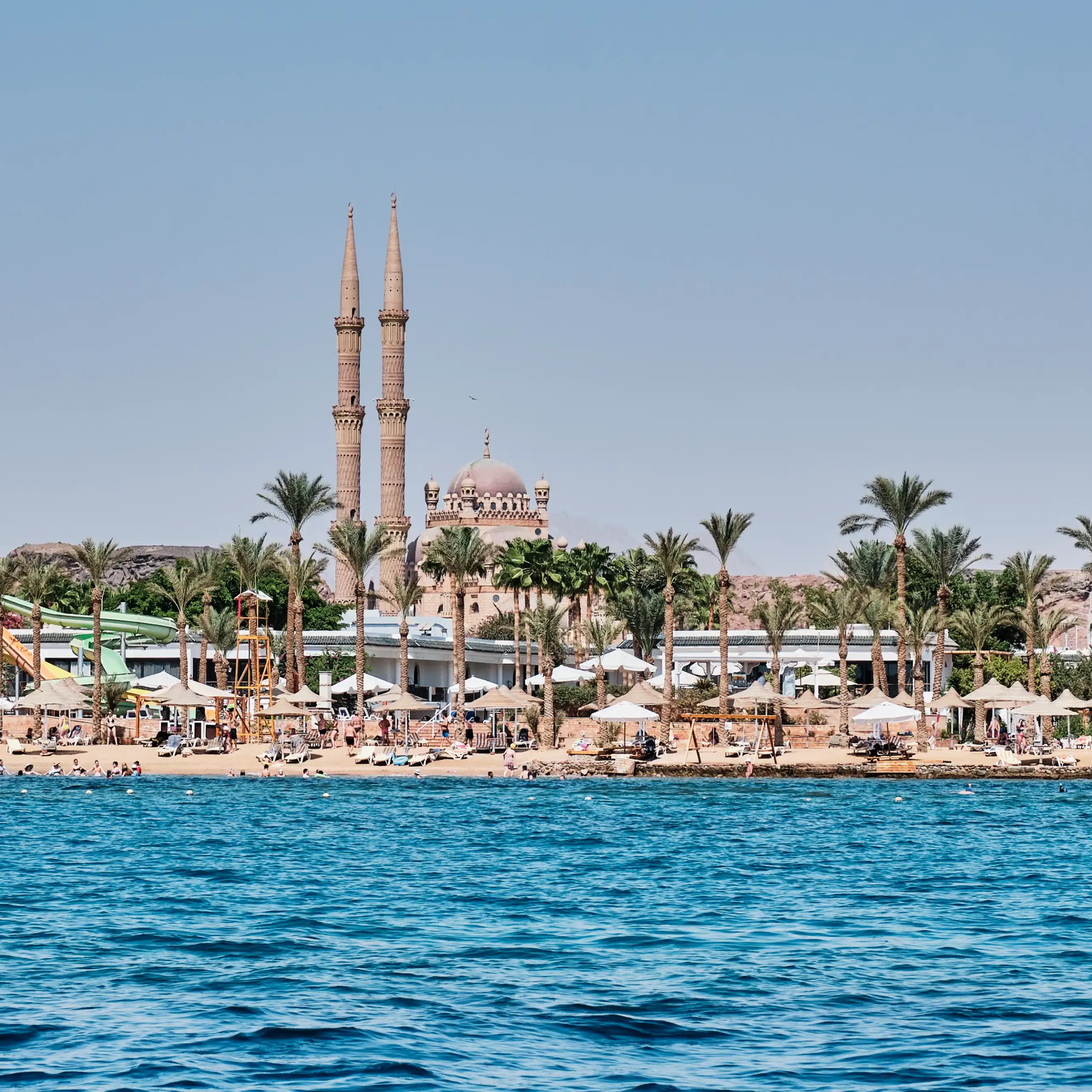 <span> Day 11 </span> 