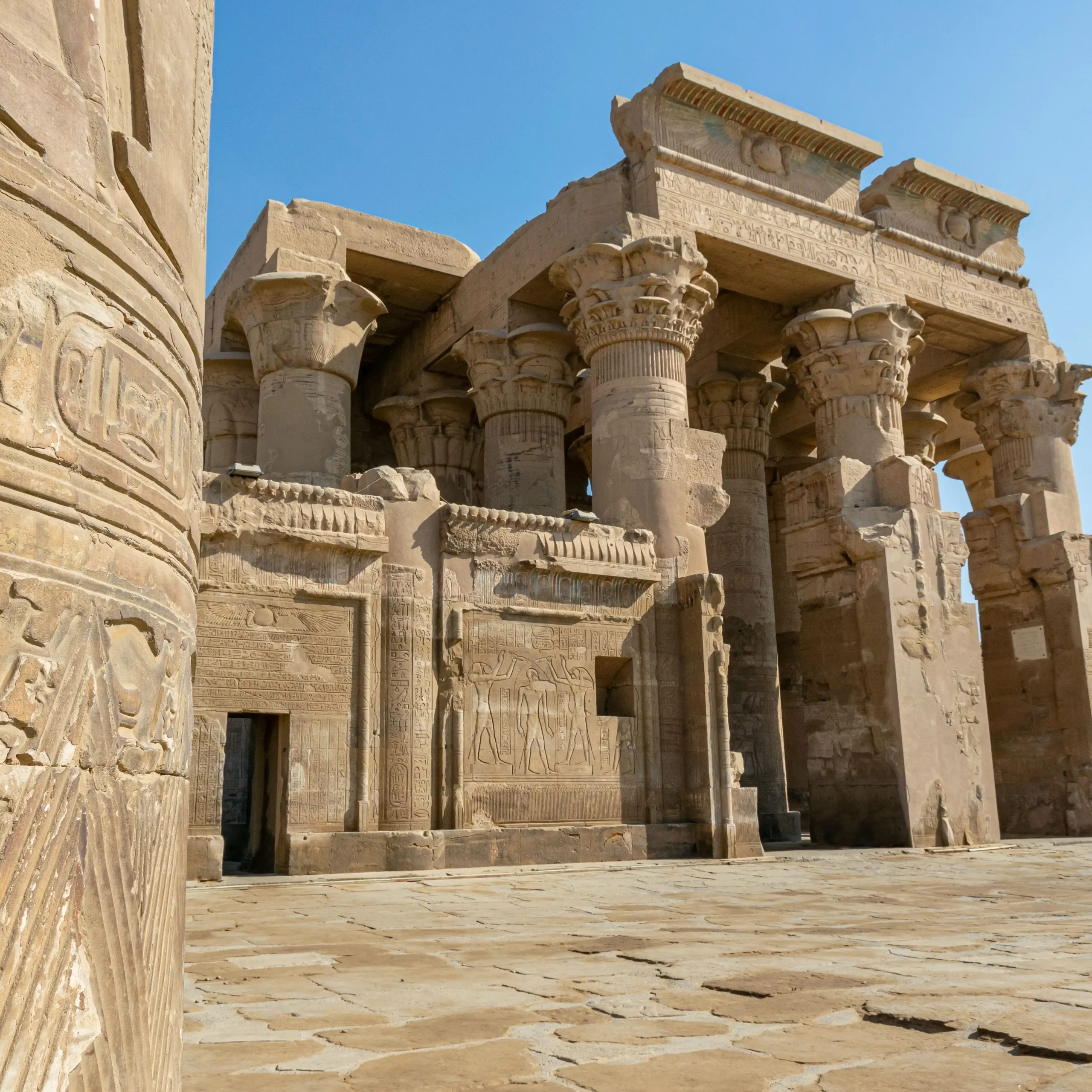 <span> Day 8 </span> 