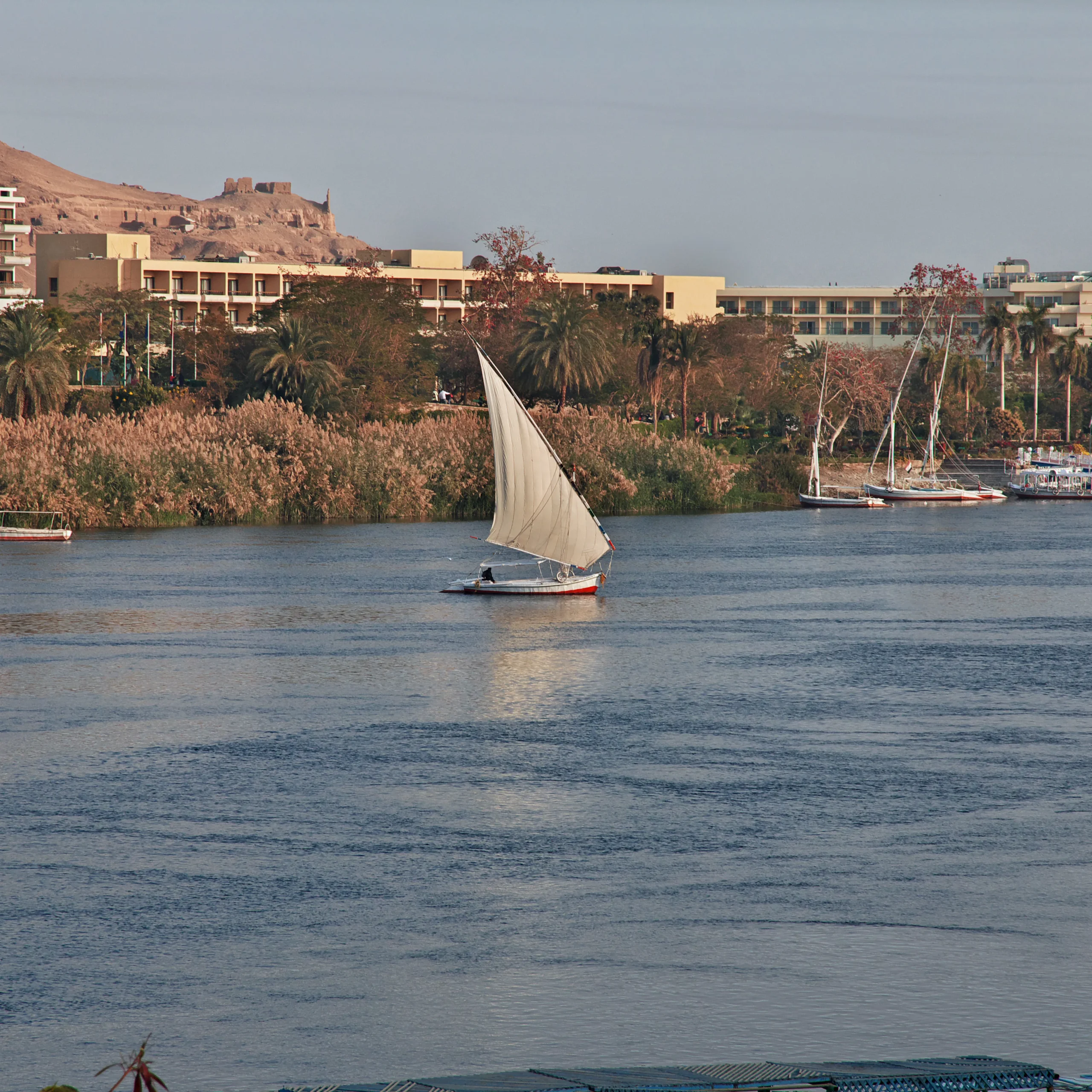 <span> Day 4 </span> Aswan City Tour – Aswan ON