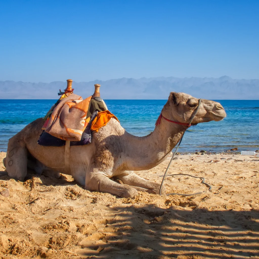 Egypt Easter tour
