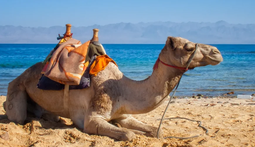 Egypt Easter tour